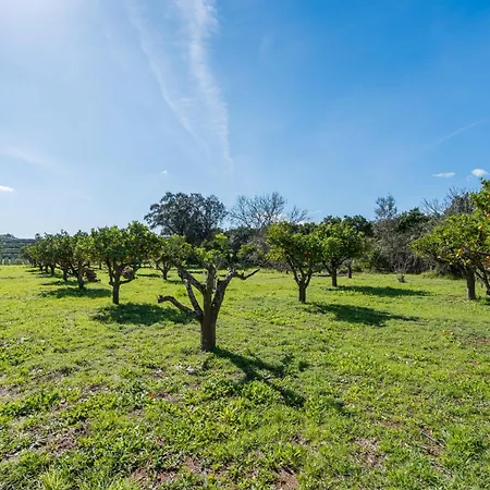 Quinta Dos 4 Ventos * Silves
